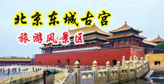 操中国老妈黑逼video中国北京-东城古宫旅游风景区